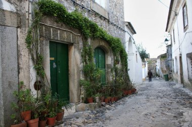 Sarmaşıklı bir ev