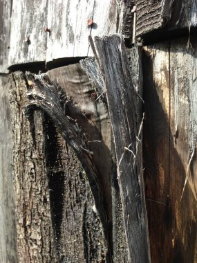 Eski bir ahşap dokusu