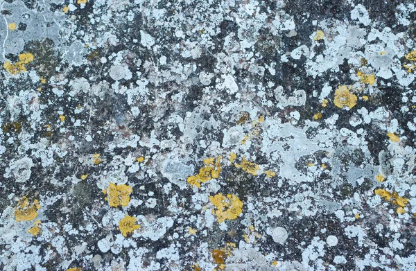 Texture Gray Stones Rough Surfaces — Stock Photo, Image