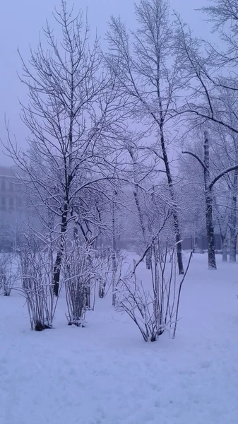 Snow covered park in front of sunrise — Stock Photo, Image