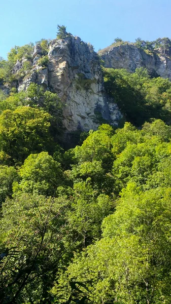 Ο γκρεμός υψώνεται πάνω από ένα γραφικό δάσος — Φωτογραφία Αρχείου