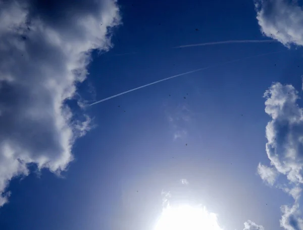 Libélulas y rastros de aviones en el cielo — Foto de Stock