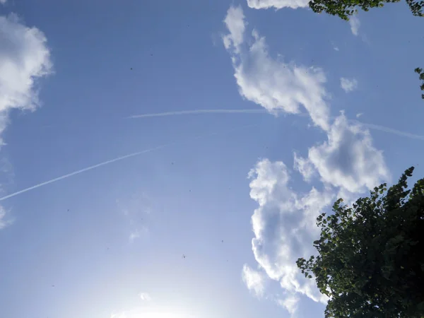 Libélulas y rastros de aviones en el cielo — Foto de Stock