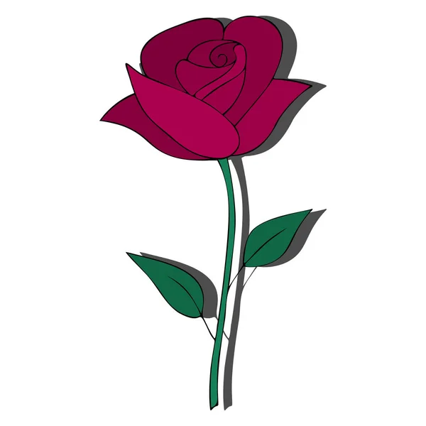 Rozenbloem Roze Bloem Een Geïsoleerde Achtergrond Kleur Vector Illustratie Idee — Stockvector