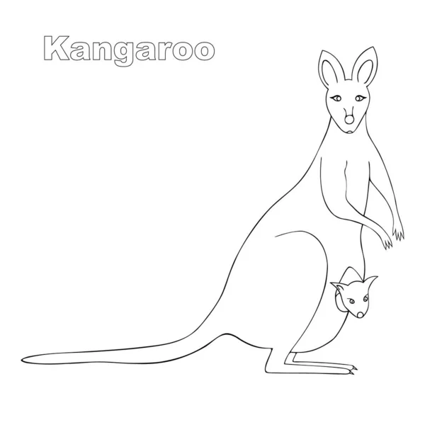 赤ちゃんを持つ母カンガルー 絶縁された背景にベクトルストック図 子供と大人のためのぬり絵 馬鹿なスタイルだ本 ウェブデザインのアイデア オーストラリア出身の動物 無色の画像 — ストックベクタ