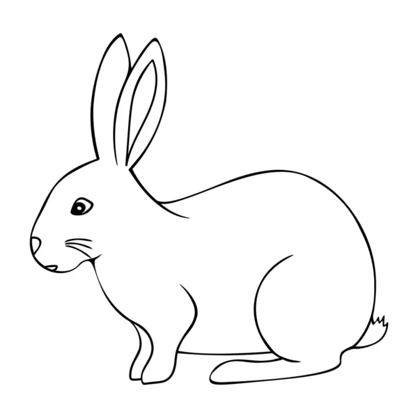 ウサギ 長い耳を持つ動物 スケッチ ベクトルイラスト 子供向けのぬり絵 馬鹿なスタイルだ 明るいイースター 隔離された背景の概要 ウェブデザイン バナー — ストックベクタ