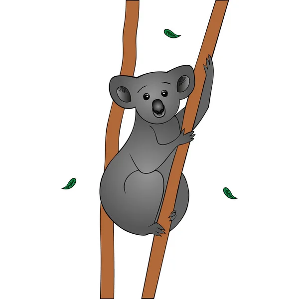 Illustration Vectorielle Couleur Koala Tenant Tronc Eucalyptus Sec Les Feuilles — Image vectorielle