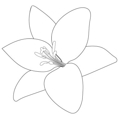 - Lily. Robot resim. Doodle tarzı. Vektör çizimi. Yaz çiçeği. İzole edilmiş bir arkaplanda özet geç. Çocuklar için boyama kitabı. Web tasarımı için fikir. Güzelliğin ve tazeliğin sembolü. Çiçek izi.