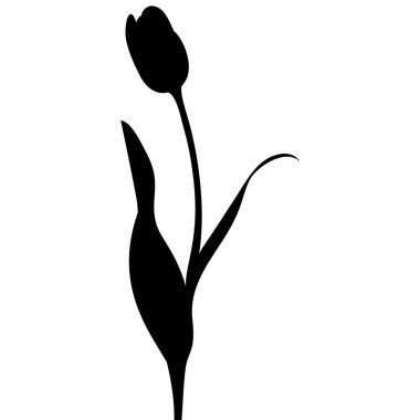 Lale. Bir çiçeğin silueti. Bahar otu. Vektör çizimi. Tecrit edilmiş bir arka plan. Zambak ailesinden narin bir bitki. Düz stil. Web tasarımı için fikir, davetiyeler, kartlar, dövme. 