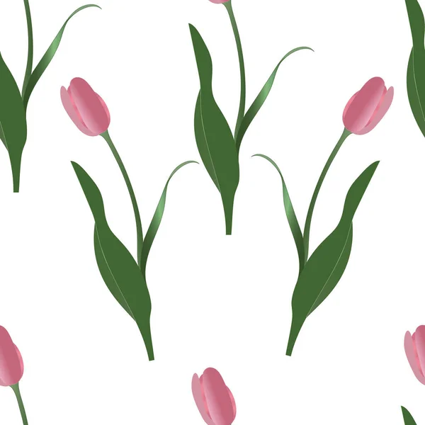 Eindeloos Vector Roze Tulp Patroon Voorjaarsklaring Plant Een Geïsoleerde Achtergrond — Stockvector