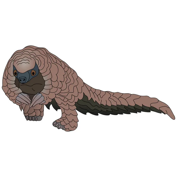 Pangolin Pembawa Perantara Dari Coronavirus Ilustrasi Vektor Warna Binatang Dengan - Stok Vektor