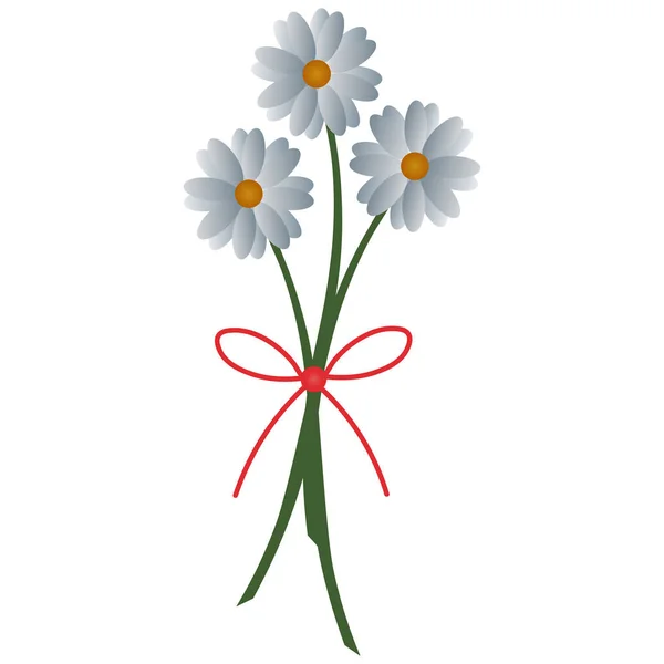 Heřmánky Jemná Kytice Bílých Květin Barevná Vektorová Ilustrace Izolované Pozadí — Stockový vektor