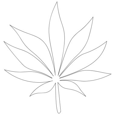 Tıpta kullanılan bir kenevir yaprağının vektör çizimi. İzole bir arka planda marihuana taslağı. Tarım keneviri. Kitap, dergi ya da web tasarımı için fikir. Organik baskı. Doodle tarzı.