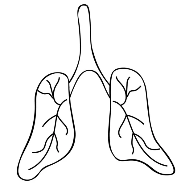 Pulmón Del Paciente Órgano Respiratorio Aire Con Una Red Capilar — Archivo Imágenes Vectoriales
