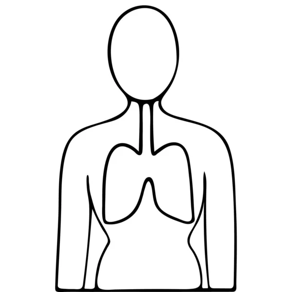 患者の肺 呼吸器系は Covid19感染からの合併症により影響を受けやすいです ベクトル アイコン 隔離された背景の概要 馬鹿なスタイルだ スケッチ 人体の解剖学 医学的主題 — ストックベクタ