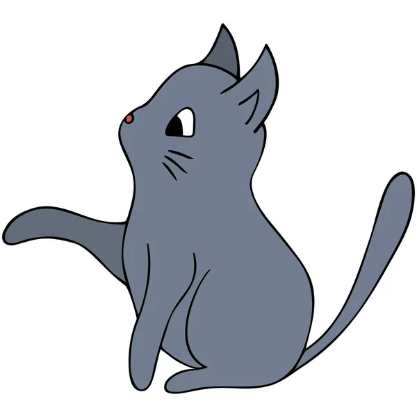 Kätzchen Graue Farbe Farbige Vektorabbildung Isolierter Hintergrund Cartoon Stil Schönes — Stockvektor