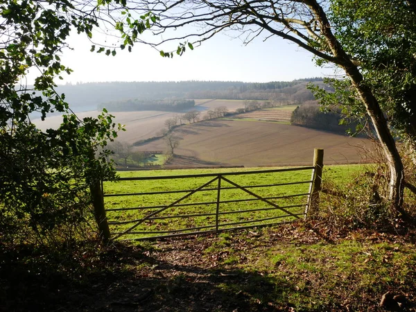 Kışın Oxfordshire, İngiltere 'de Chiltern manzaralı çit tarafından çerçevelenen kapalı metal kapıdan tarlaya
