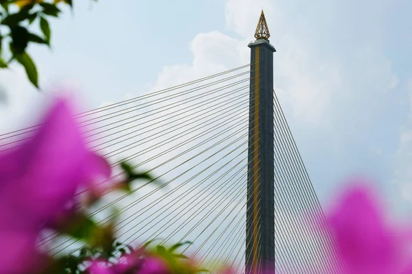 Pont Rama Viii Rose Prévaut — Photo