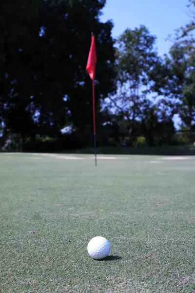 Golfer Elütötte Labdát Zöld Követnie Kell Következő Lövés Putter — Stock Fotó