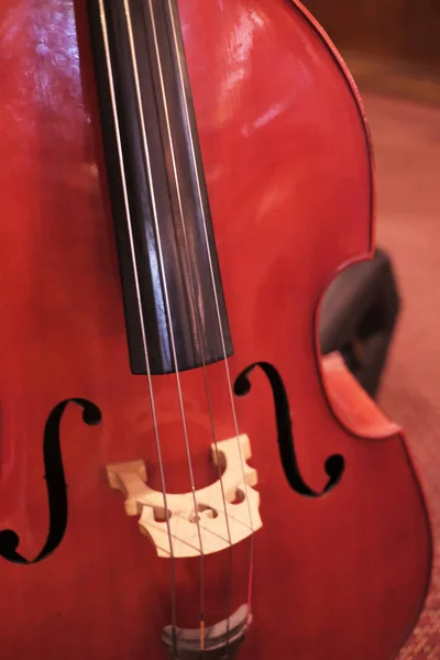 Beauty Brown Wood Cello — Stock Photo, Image