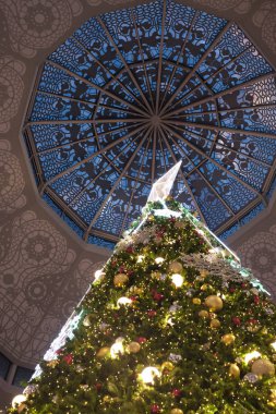  Noel ağacının tepesinde gümüş bir yıldız var. 