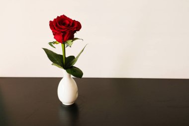 beyaz zemin üzerine kırmızı Gül Vazosu