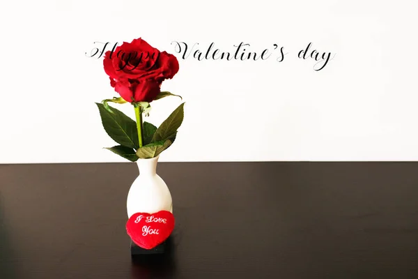 Single Red Rose Heading Heart White Background — 스톡 사진