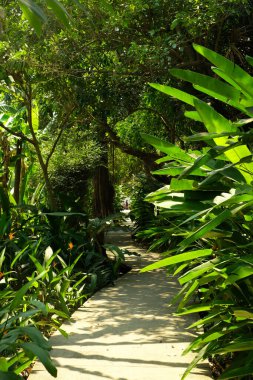 1 numaralı bahçede yürüyüş yolu.