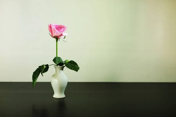 Розовая Роза Прямо Вверх Вазе Белом Фоне — стоковое фото