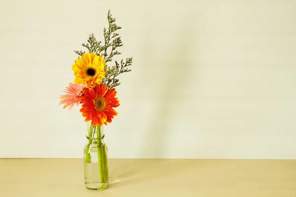 Três Cores Gerbera Daisy Flores Vaso Transparente Fundo Branco — Fotografia de Stock