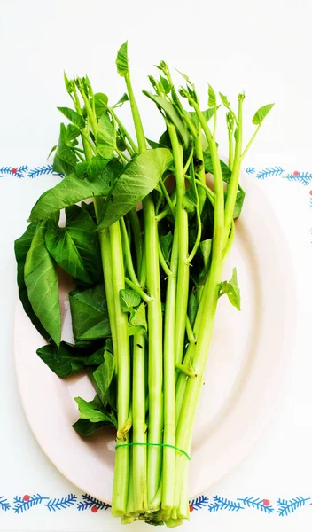 Thai Morgen Ruhm Gemüse Auf Weißem Hintergrund — Stockfoto