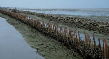 Bataklık ve deniz manzarası 4