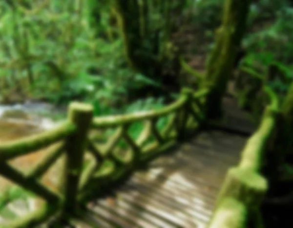 Blure Puente de madera en la selva, Tailandia, fondo borroso — Foto de Stock