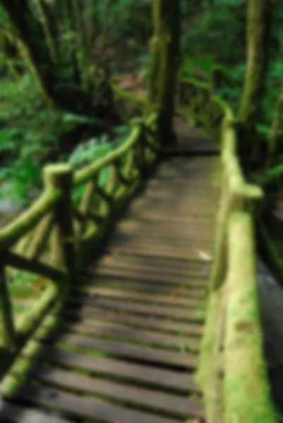 Verschwommene Holzbrücke in den Dschungel, Thailand, verschwimmender Hintergrund — Stockfoto