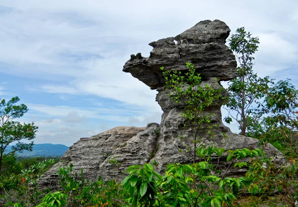 Cup shaped stone. The Pa Hin Ngam National Park in Chaiyaphum, Thailand — Stock Photo, Image