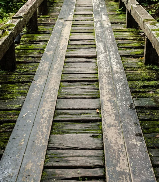 Holzbrücke im tropischen Regenwald, Dschungel-Landschaft — Stockfoto