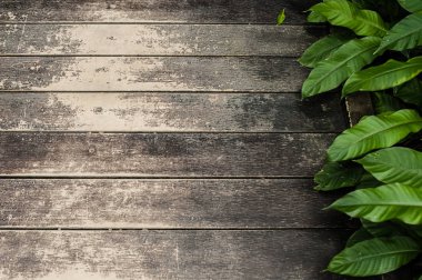 ahşap doğal yeşil arka plana sahip