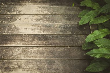 ahşap doğal yeşil arka plana sahip