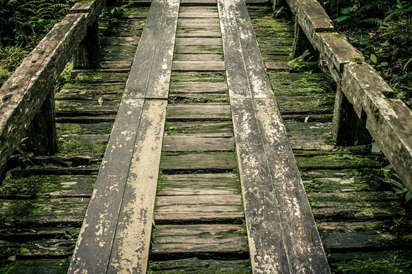 Деревянный мост в тропическом дождевом лесу, пейзаж джунглей — стоковое фото