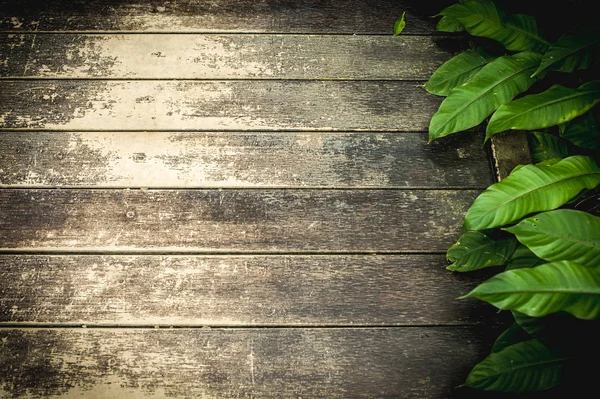 ahşap doğal yeşil arka plana sahip