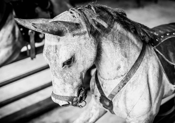 Vintage wood rocking horse head — Stock Photo, Image