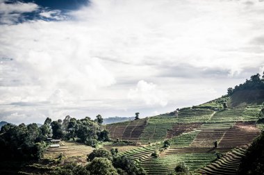 Güzel mavi gökyüzü ve hill Dağı'nda Mon Cham (Mon Jam), Tayland
