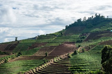 Mon alanında lahana Cham (Mon Jam) dağ, ünlü seyahat Tayland