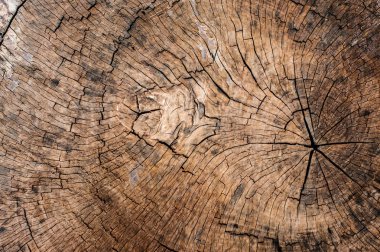 arkaplan için eski ahşap dokusu