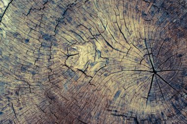 Ahşap doku arka plan doğal