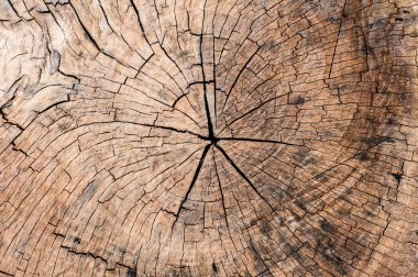 arkaplan için eski ahşap dokusu