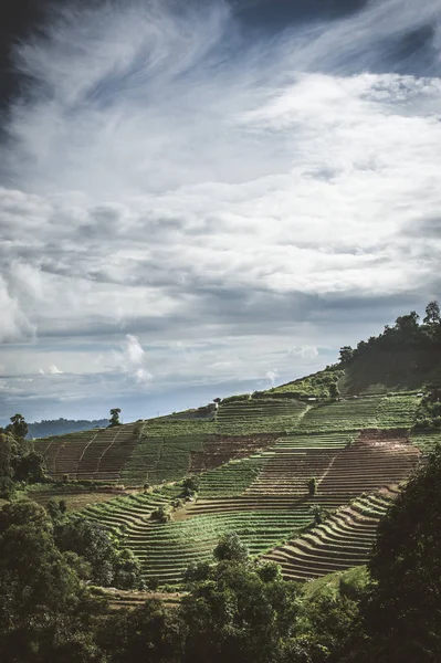 Güzel mavi gökyüzü ve hill Dağı'nda Mon Cham (Mon Jam), Tayland