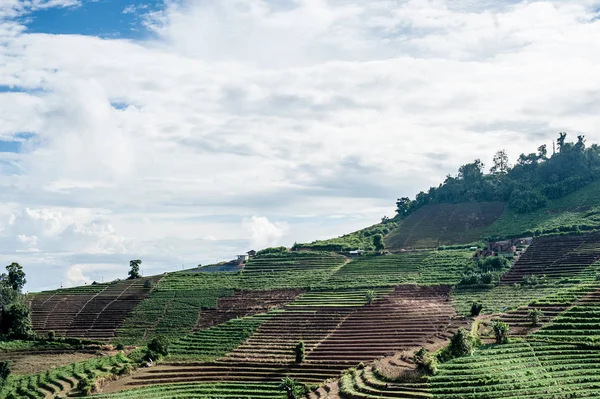 Mon alanında lahana Cham (Mon Jam) dağ, ünlü seyahat Tayland