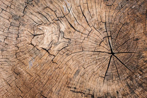 arkaplan için eski ahşap dokusu