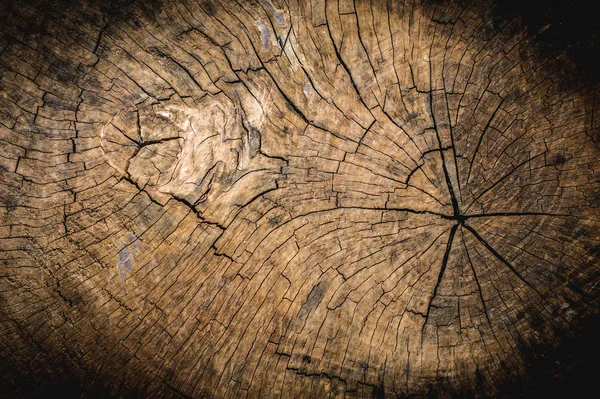 천연 나무 질감 배경 — 스톡 사진